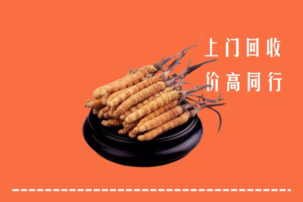 高价求购：河南省回收散虫草