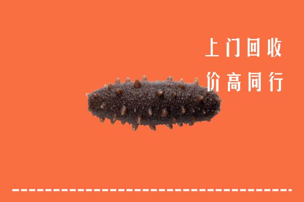 高价求购：河南省回收海参