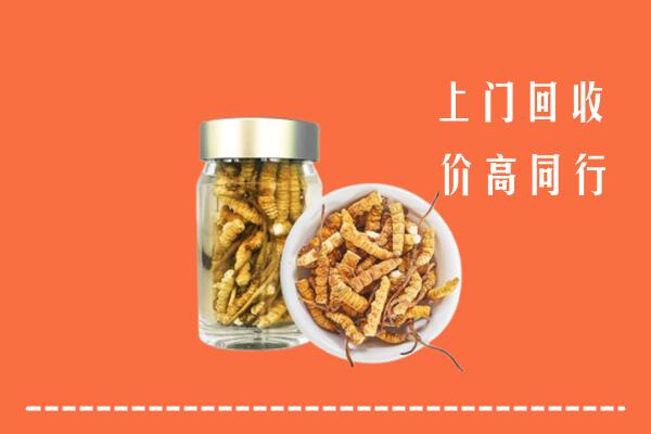 河南省高价回收冬虫夏草